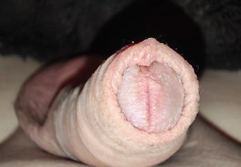 freshly shaved and therefore horny