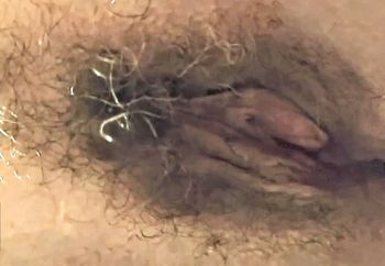 Hairy pussy